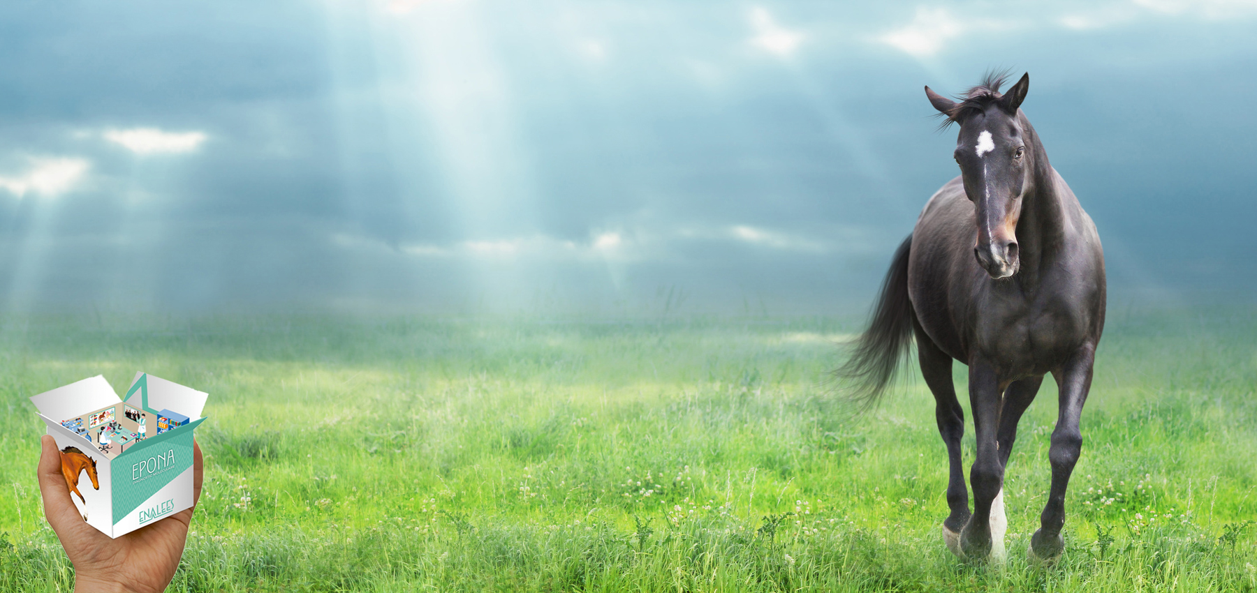EPONA Point of Care Diagnostik